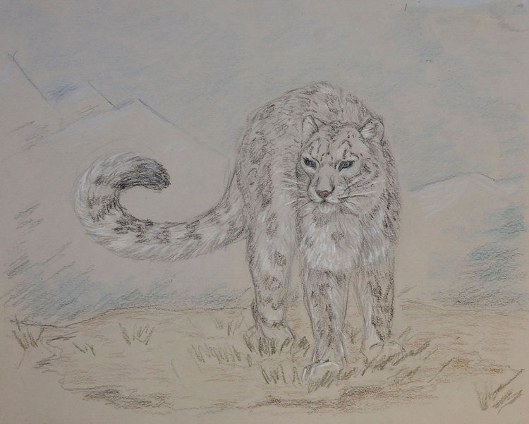 Traditional Media Artwork - Adult 26 & Over