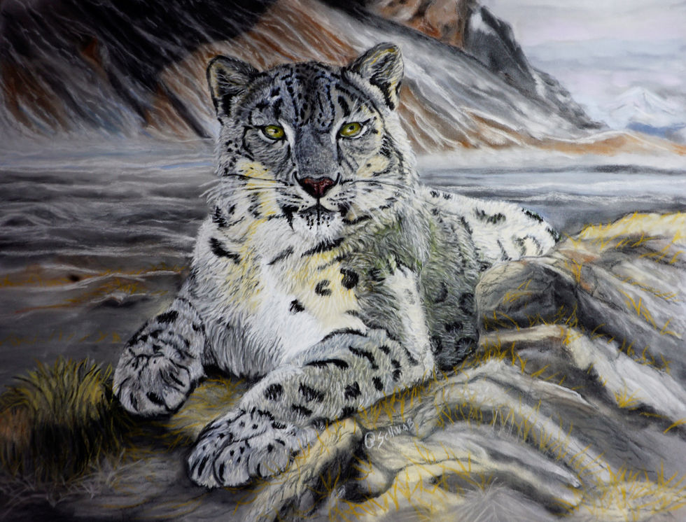 Traditional Media Artwork - Adult 18 & Over
Artist: Pat Schwab
Medium: Pastels