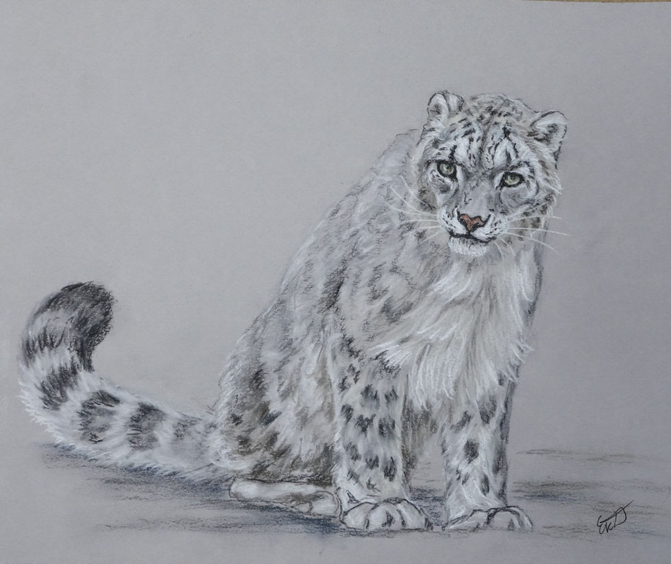 Traditional Media Artwork - Adult 18 & Over
Artist: Ekaterina Drozhdina
Media: Pastels & Colored Pencils