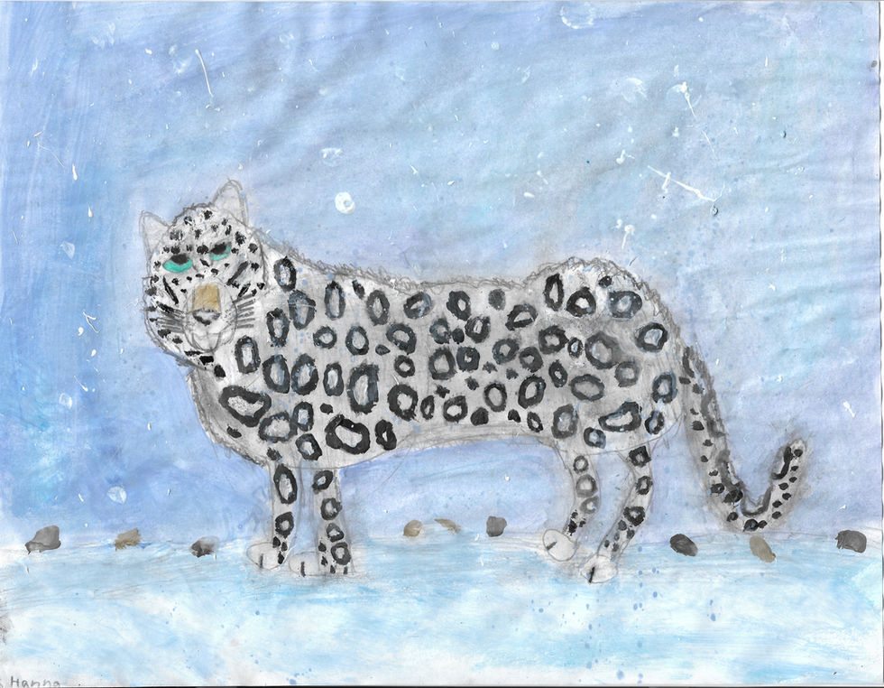 Image of First Place Traditional Media Artwork Youth 11-17 - Snow Leopard by Hanna Dribinski