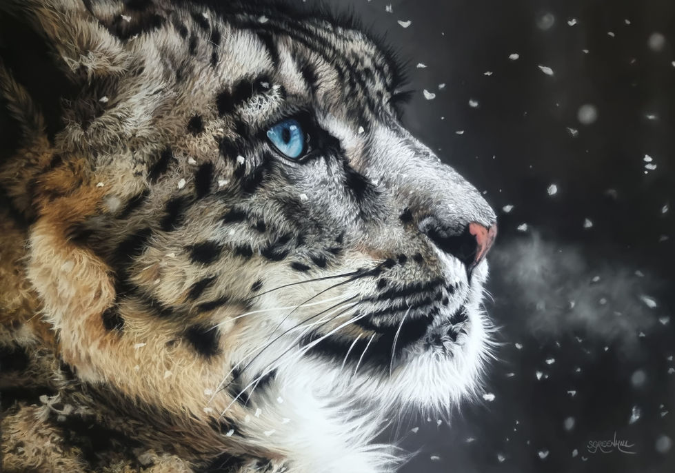 Traditional Media Artwork - Adult 18 & Over
Artist: Samantha Greenhill
Medium: Pastels on Pastelmat Board