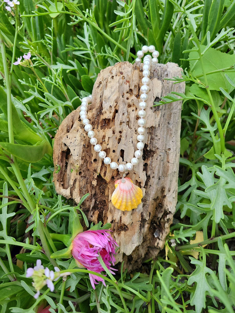 Thumbnail: Sunrise shell with freshwater pearls. 