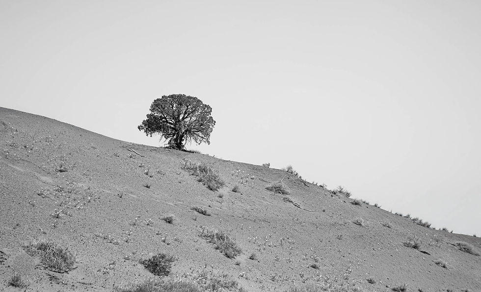 3-Solitude (1)