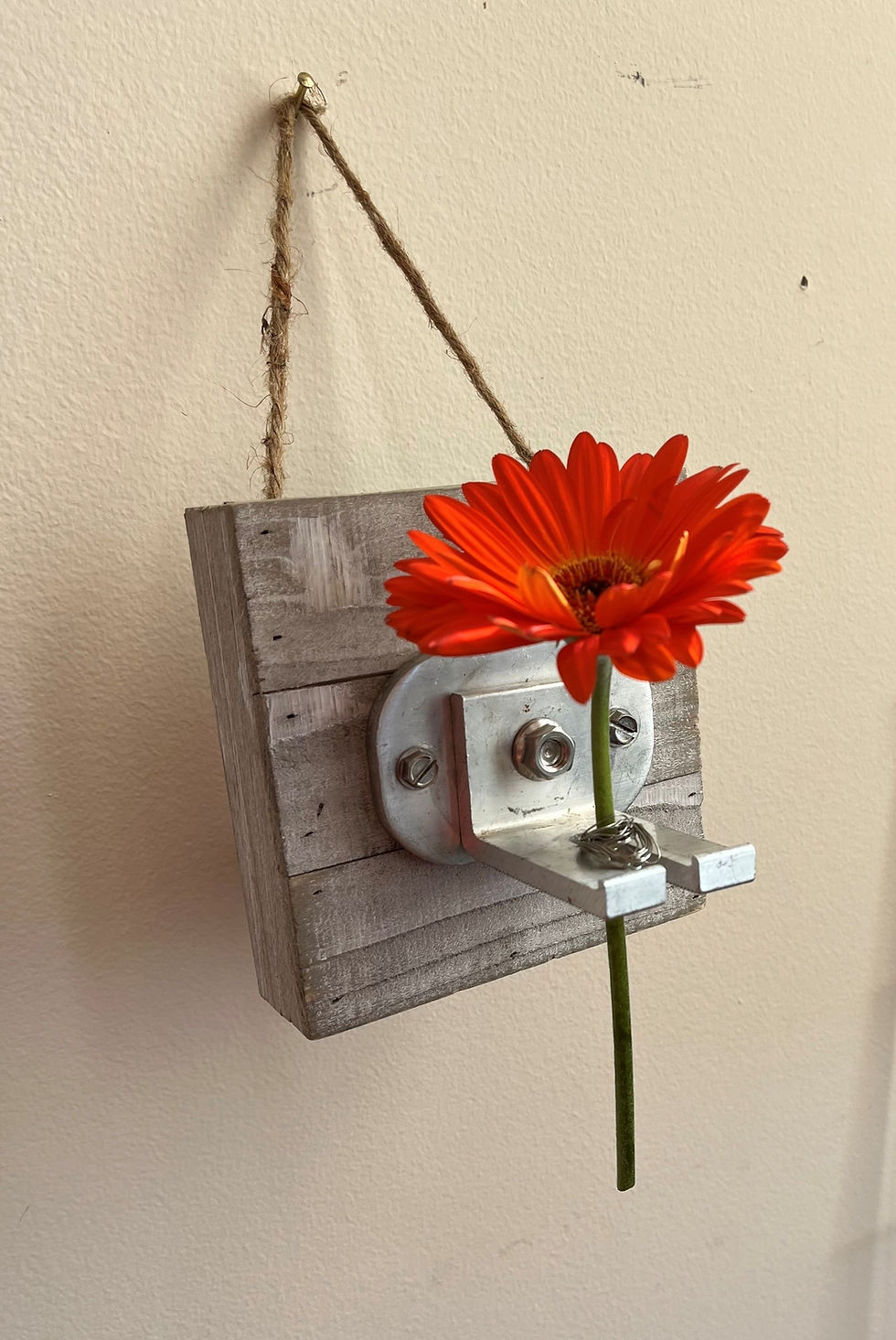 3 - IndustrialWallVase_WireMount_LiveFlower (1)