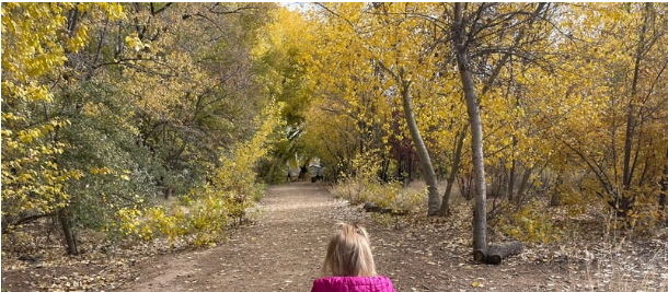 Fall trees and a path with a child looking down path