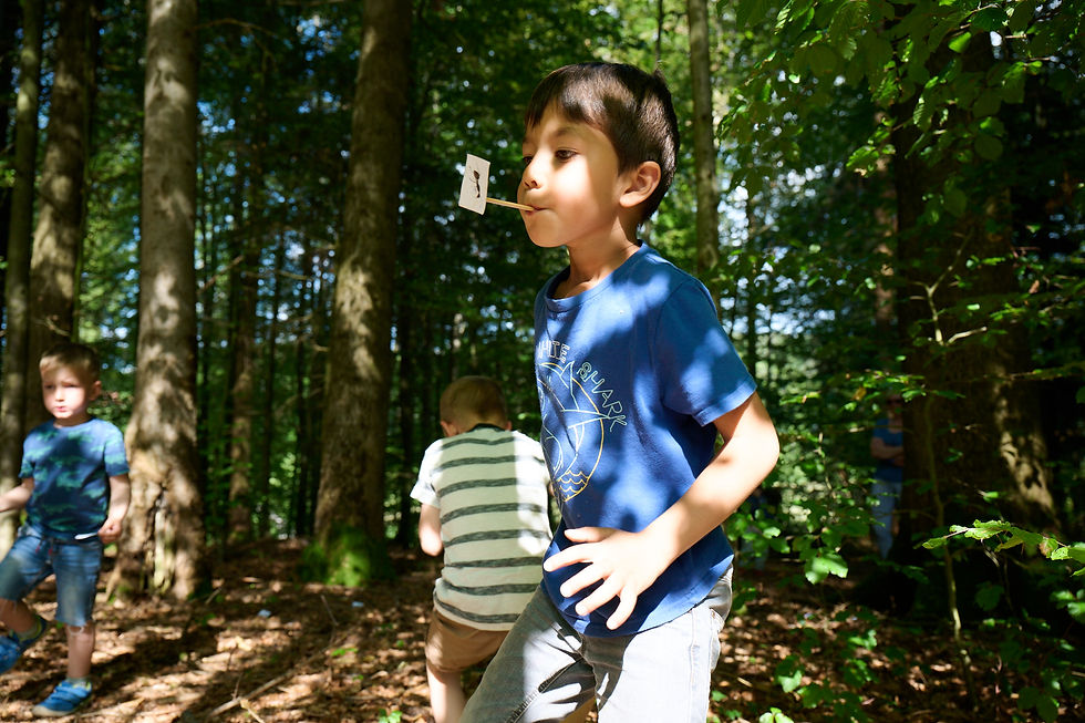 Explorer la nature en s'amusant