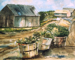 Barns and Baskets