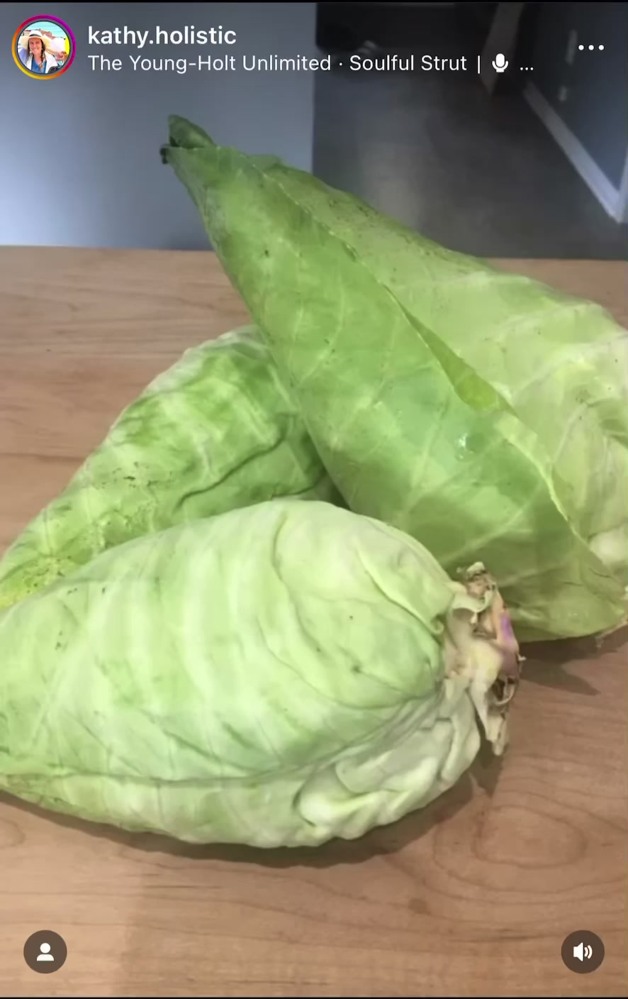 Video preview: Homemade raw fermented sauerkraut