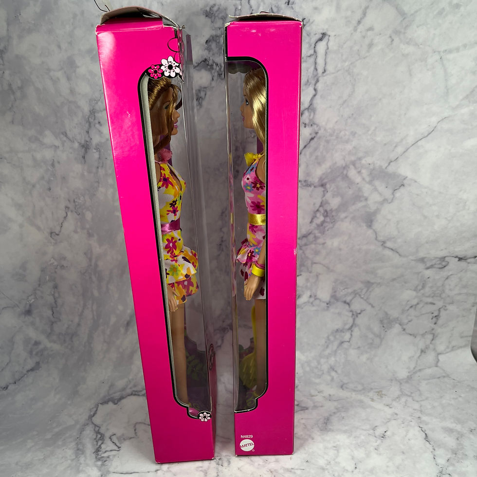 Thumbnail: Barbie (2008) - Garden Dolls - Summer And Barbie Dolls, New In Box #N4828
