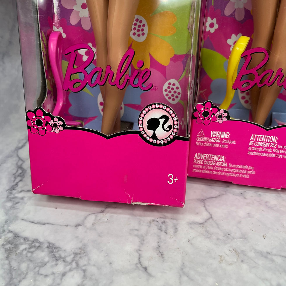 Thumbnail: Barbie (2008) - Garden Dolls - Summer And Barbie Dolls, New In Box #N4828