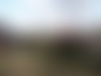 Cérémonie du 11 novembre 2025