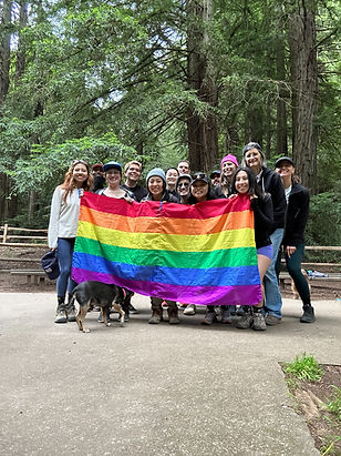 IMG_2023_06_15-19_48_56_2190_FCF9554D.JPEG