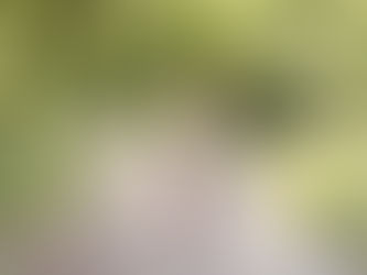 Séance maternité en extérieur