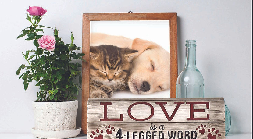 Spoontiques lifestyle image showing decor