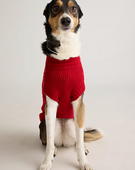 Screenshot 2025-12-13 at 6.29.51 AM.png