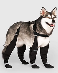 Screenshot 2025-12-13 at 6.53.18 AM.png