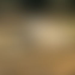 Some Soul Dogs Do Their Best Work From Afar