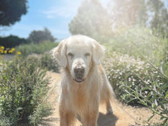 Help Your Senior Ease Into Their Golden Years with These Top Picks