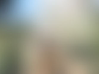 Help Your Senior Ease Into Their Golden Years with These Top Picks