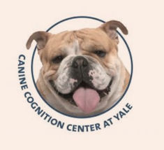 Podcast Episode : Turns Out Your Dog Really Is Judging You