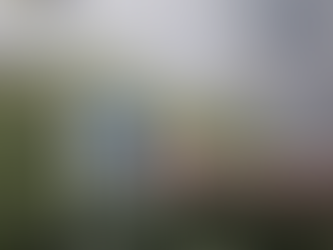 COVID 19, Your Dog, and Buddy the German Shepherd