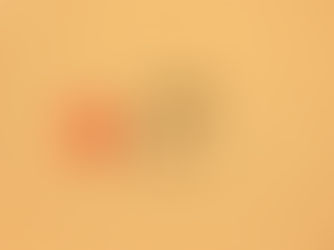 Navigating the Loss of a Beloved Pet