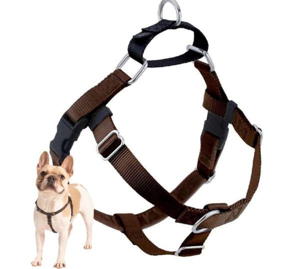 2 Hounds Design Freedom No- Pull Harness