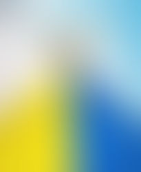 Want to Support the Animals of Ukraine? Here Are a Few Ways You Can Help.