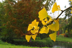 Arboretum SEGREZ_JLC20221013 (11)_ok_(psp)_TR