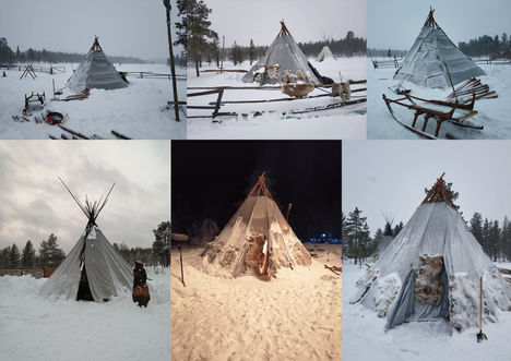 polar tipi