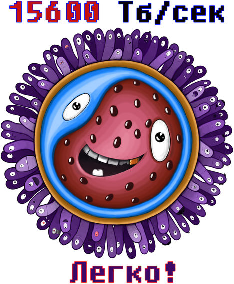 ovule