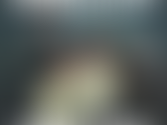 Carrie & Lowell (10th Anniversary Edition): A Comprehensive Review