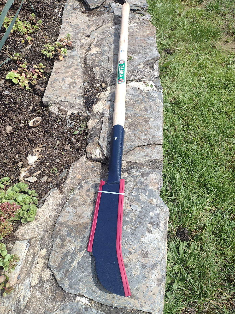 Gardening tool with a long wooden handle