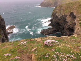 Cornish cliff