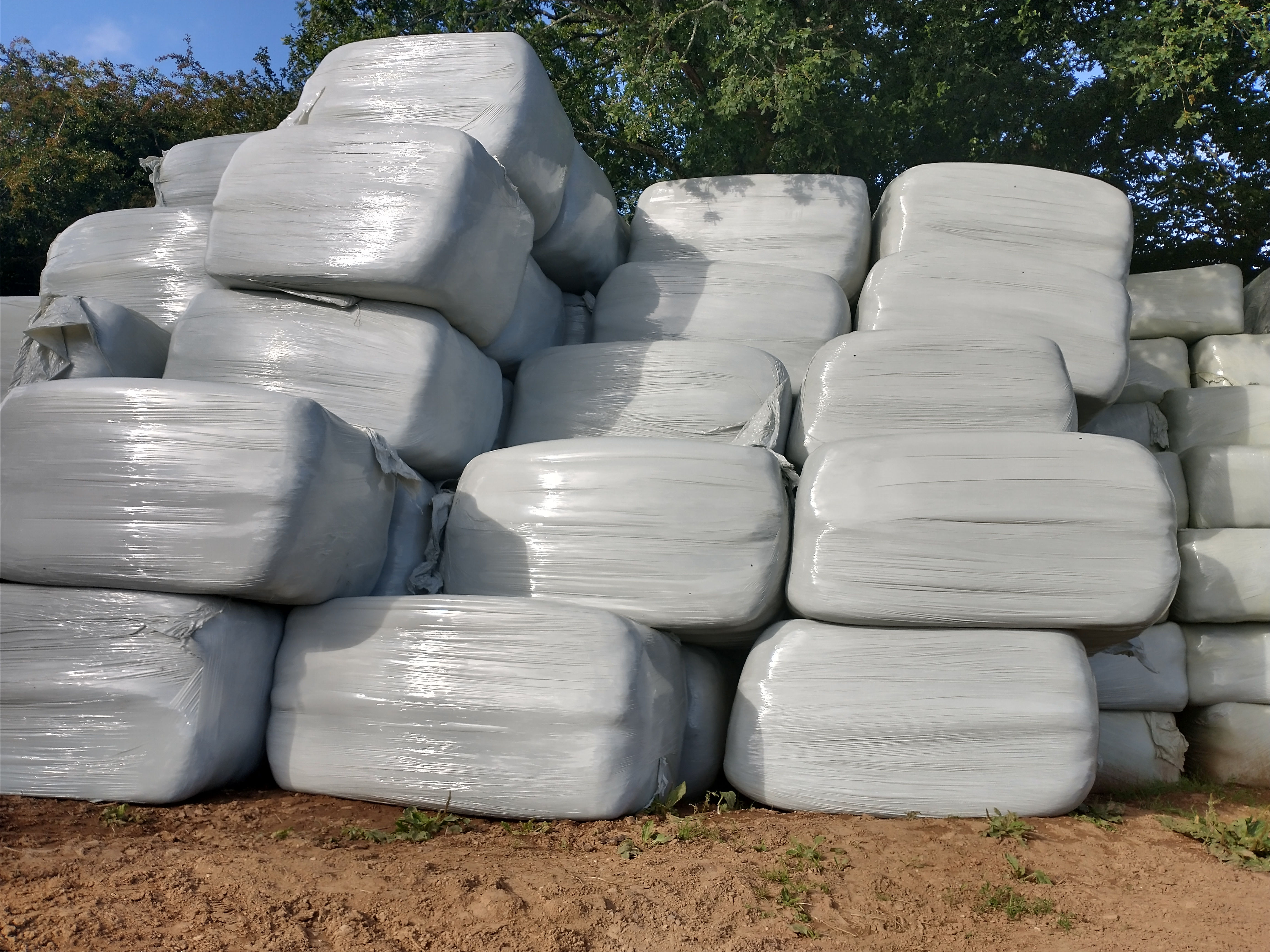 Hollywood field haylage / hay dryup to 5 foot 2 nd cut quadrant 2200 size