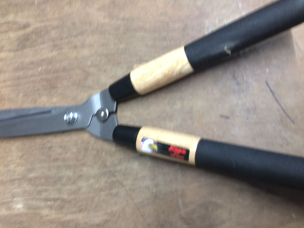 Sharp garden shears with wooden handles