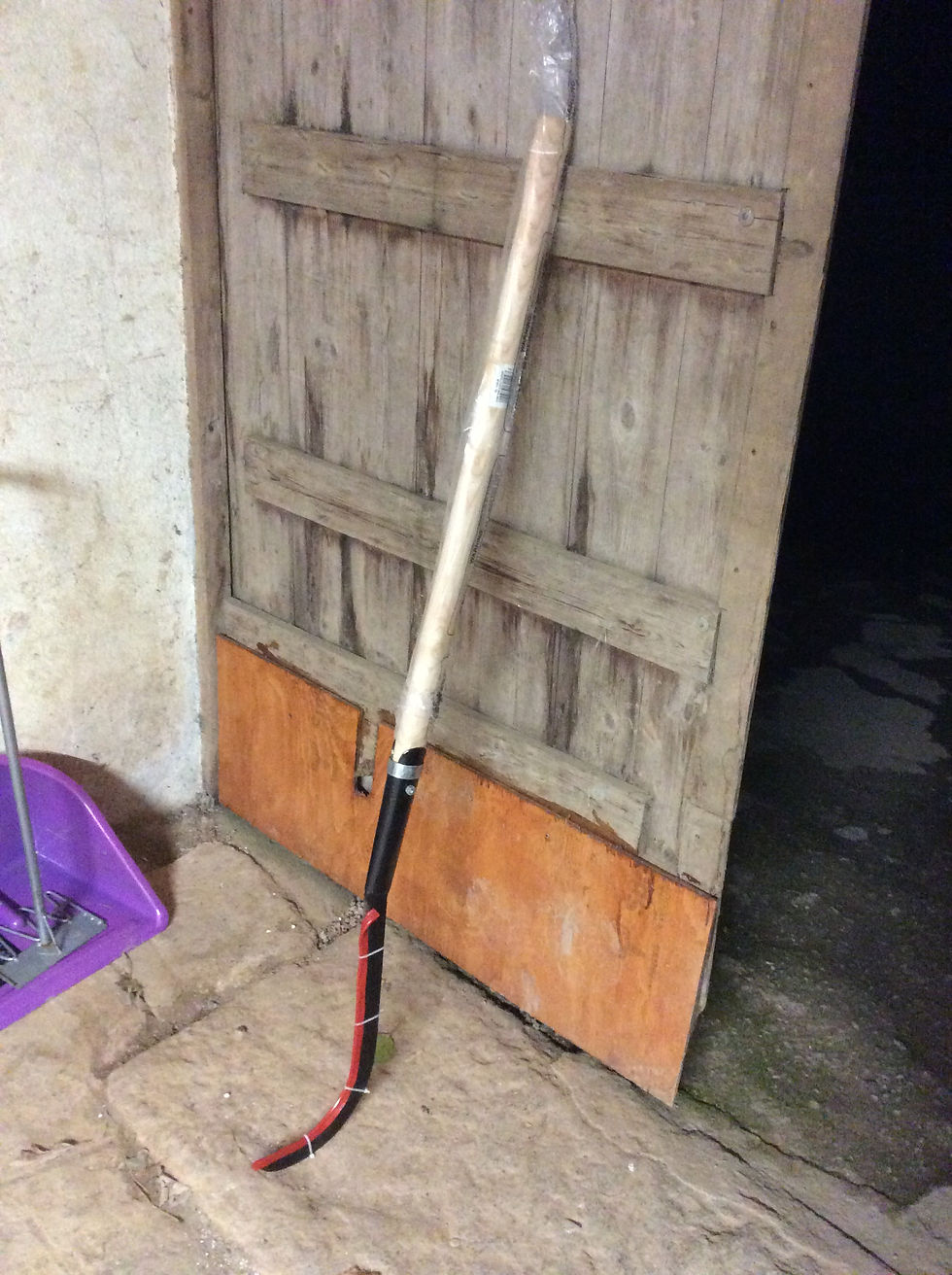 New garden hand rake leaning against wooden door