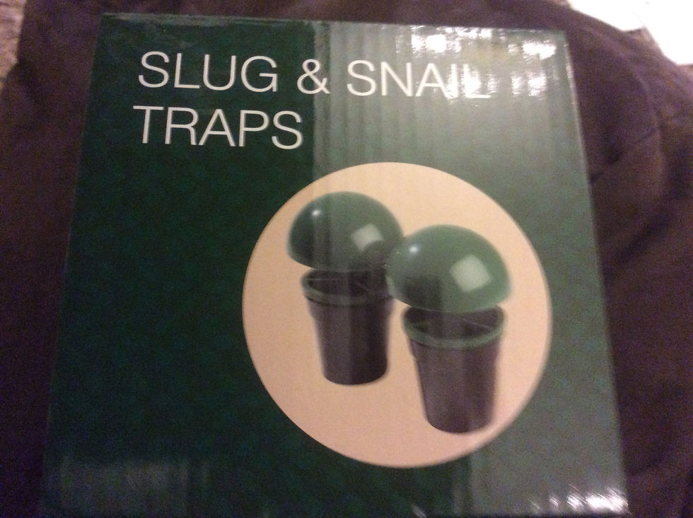 Slug & Snail Traps: Two green traps