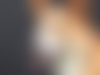 When to Consult a Professional Dog BehaviorSpecialist