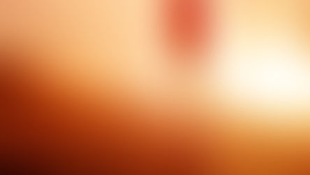 Maximizing your Fraction