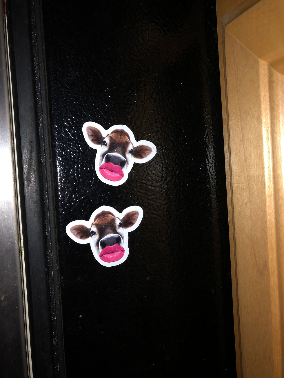 Thumbnail: Aggy Kisses Magnet
