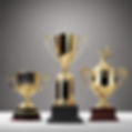 multiple different types of trophies looking prestigious .jpg