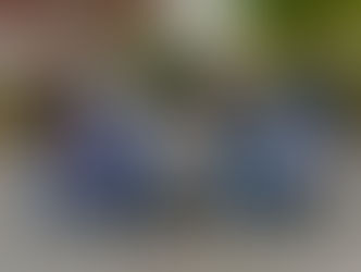 Quatschfotos 2025/2026