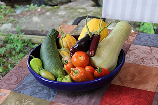 veg basket.JPG
