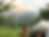 Outdoor tent wedding venue berkshires