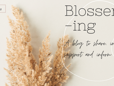 Bblog New Post