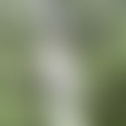 May 2025 Gallery