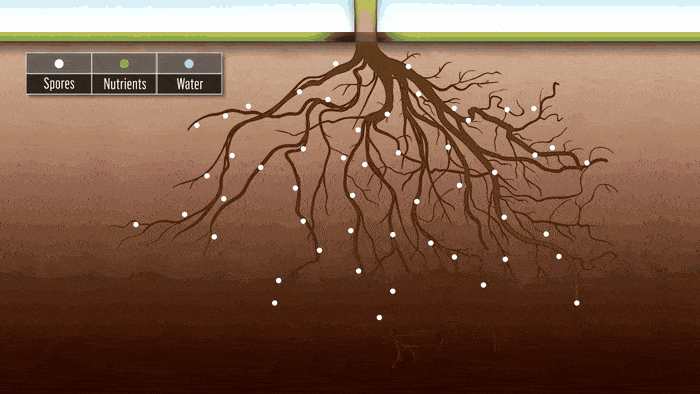 EBBD5E84-36B2-4E44-9248-3D421ED8B69E.gif