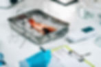 controle-qualite-du-poisson-inspecteur-securite-.jpg