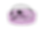 Dogbed.png